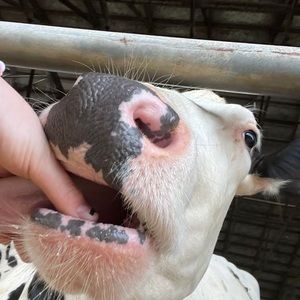 Meet your Posher, Kylyn